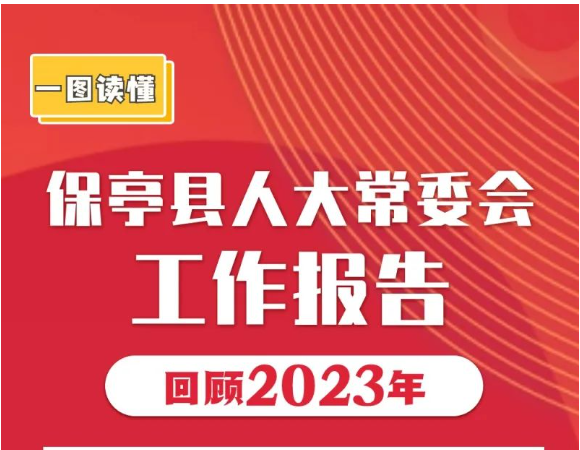 一图读懂 | 保亭县人大常委会2023年工作报告