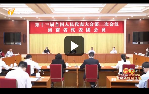 海南代表团审议全国人大常委会工作报告和“两高”报告 审议民法典草案修改稿、全国人民代表大会关于建立健全香港特别行政区维护国家安全的法律制度和执行机制的决定草案修改稿 刘赐贵 沈晓明出席